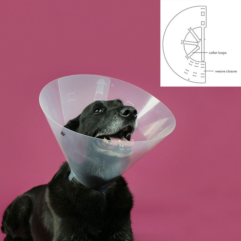 Schutzkragen Hund KVP Betsy Transparent (22-26 cm)