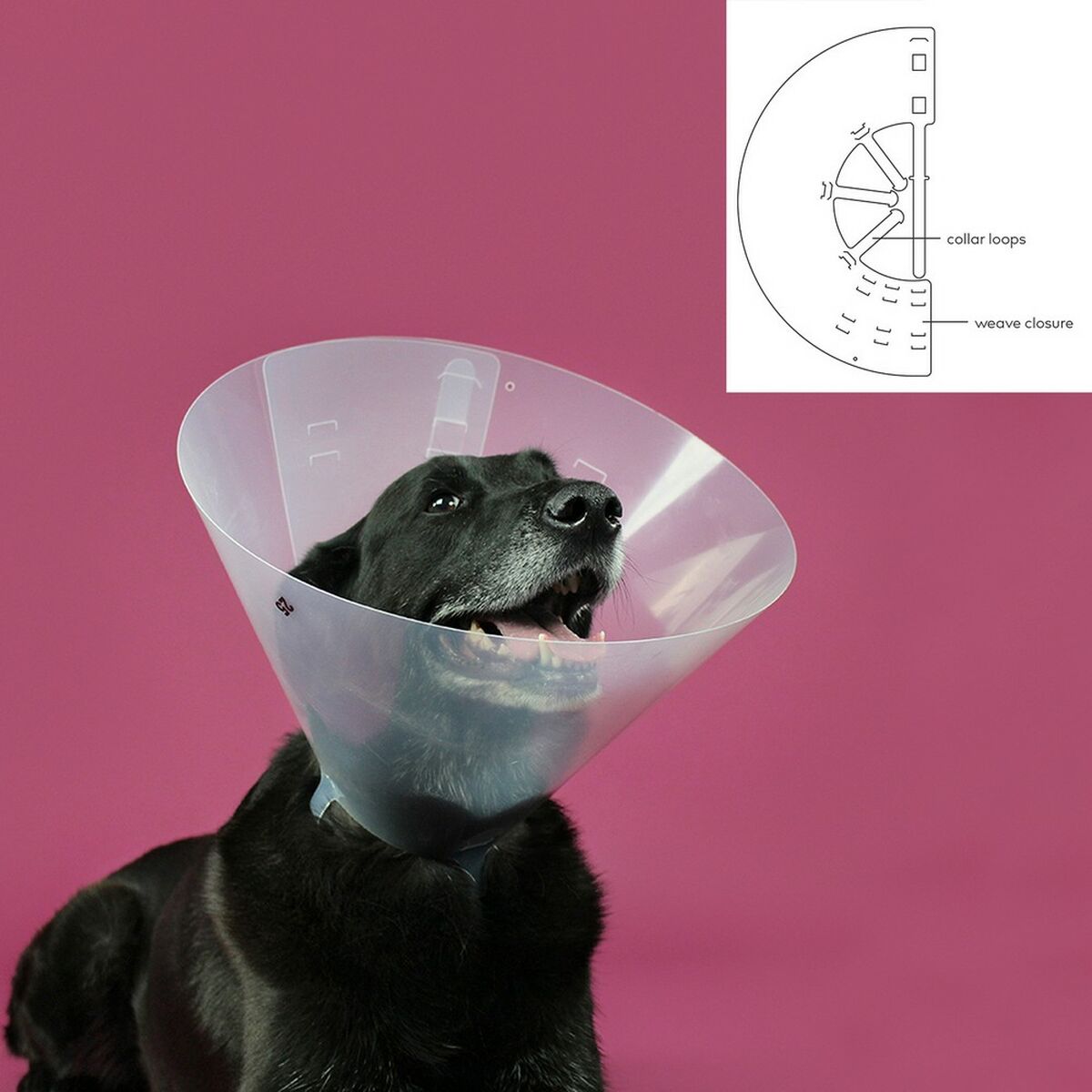 Schutzkragen Hund KVP Betsy Transparent (22-26 cm)