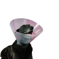 Schutzkragen Hund KVP Betsy (27-31 cm)