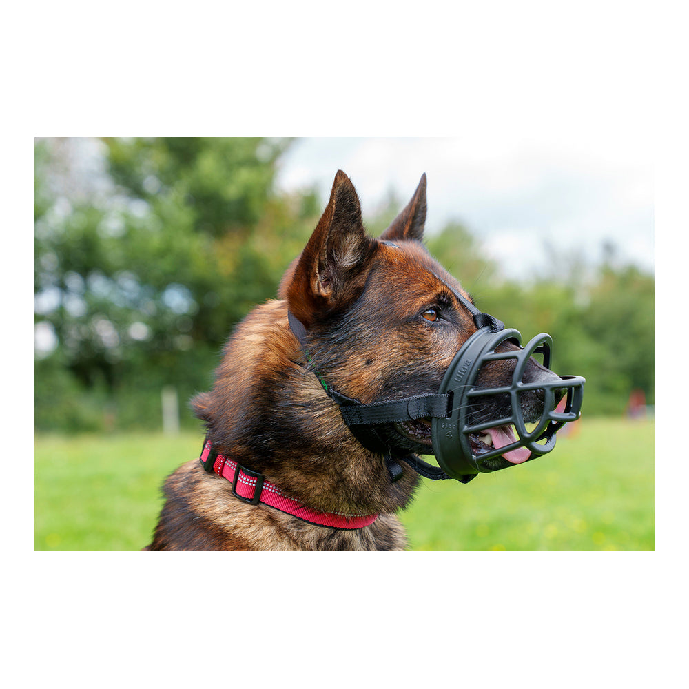 Maulkorb Company of Animals Baskerville Ultra Schwarz (6 x 26 cm)