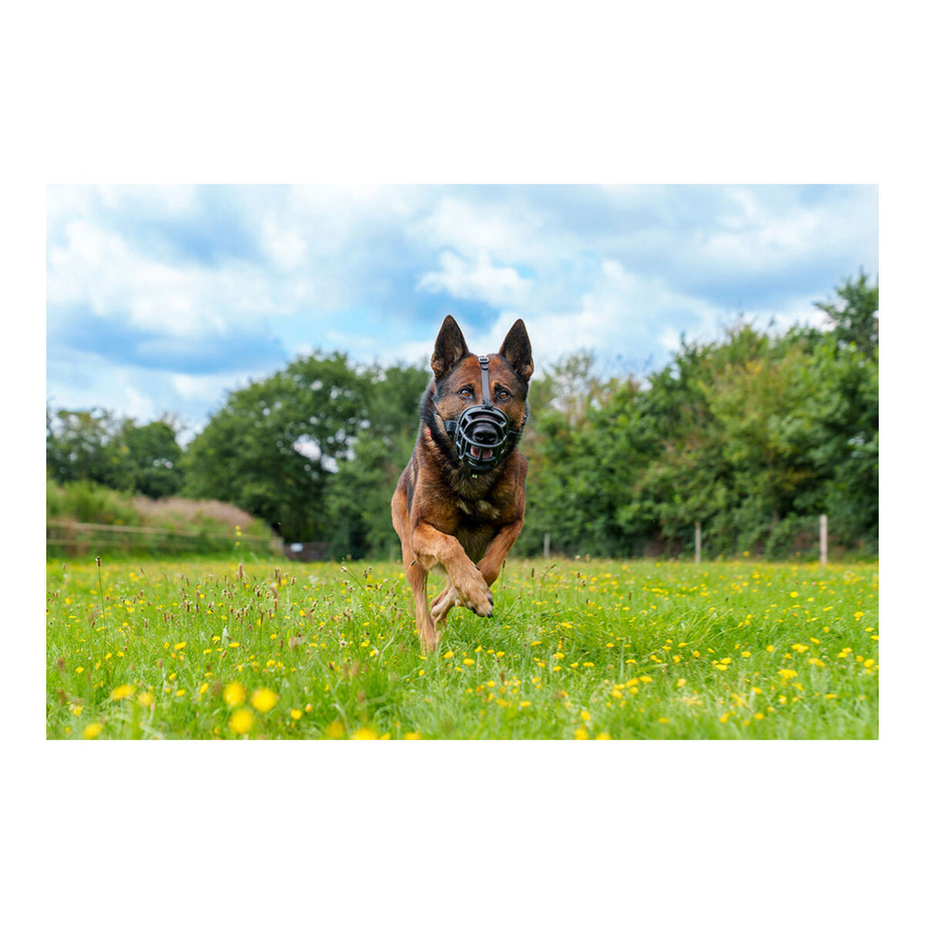 Maulkorb Company of Animals Baskerville Ultra Schwarz (6 x 26 cm)
