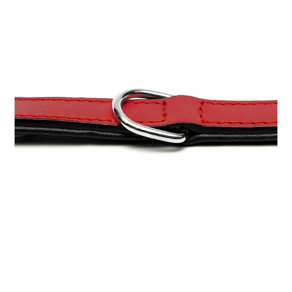 Hundehalsband Gloria Gepolstert Rot 40 cm (40 x 2 cm)