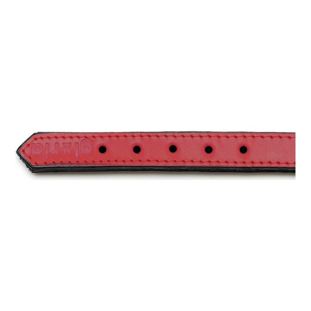 Hundehalsband Gloria Gepolstert Rot 40 cm (40 x 2 cm)