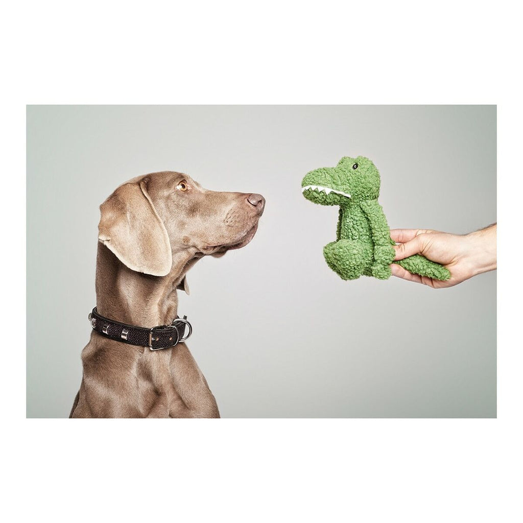Hundespielzeug Gloria Pinky Krokodil Grün (S)