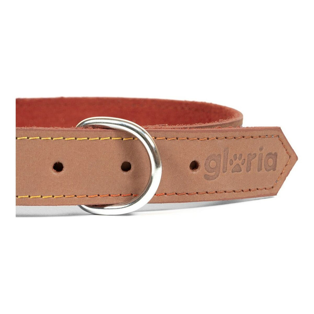 Hundehalsband Gloria Oasis Braun (65 x 3 cm)