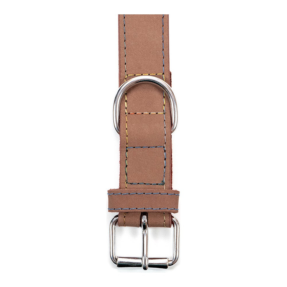 Hundehalsband Gloria Oasis Braun (65 x 3 cm)