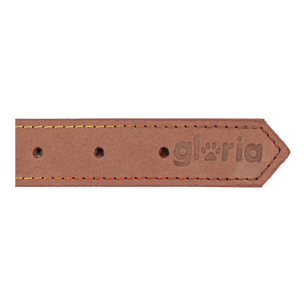 Hundehalsband Gloria Oasis Braun (65 x 3 cm)