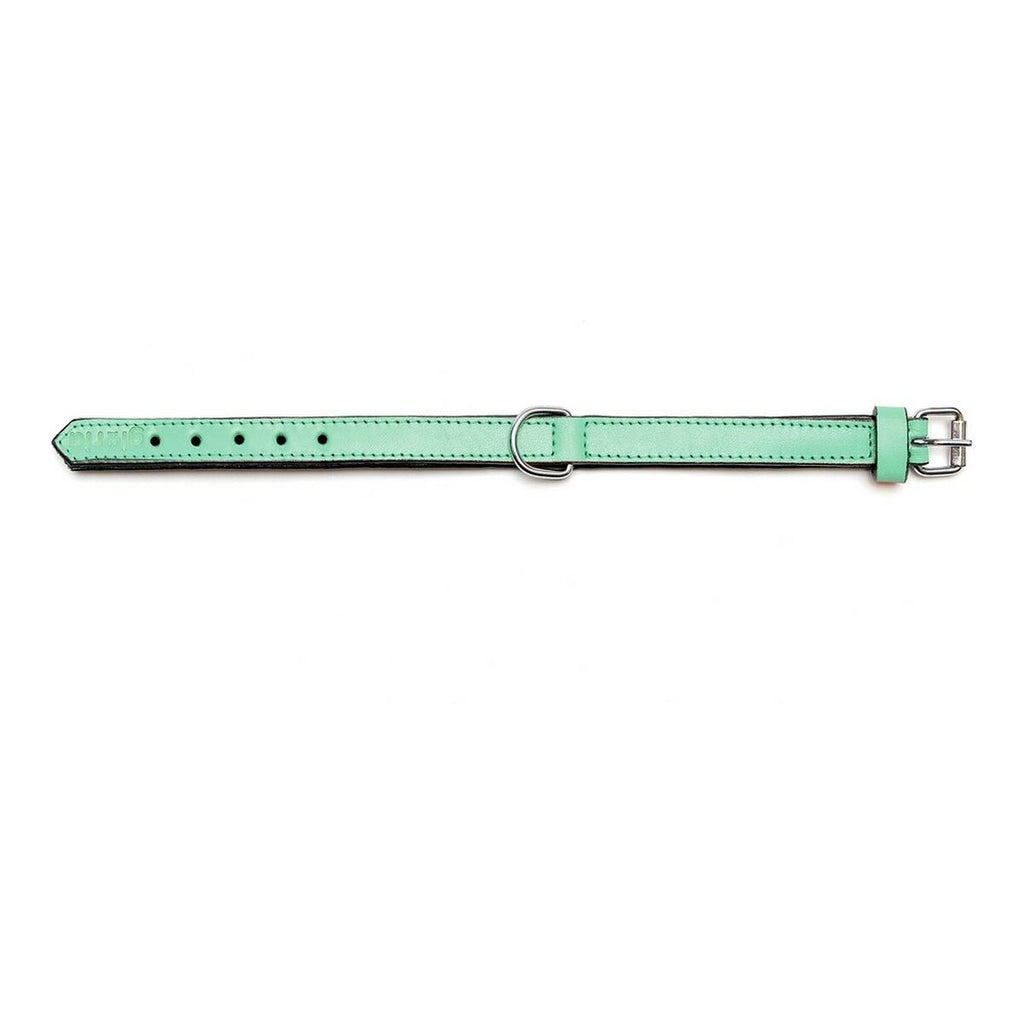 Hundehalsband Gloria Gepolstert Grün (55 x 2,5 cm)