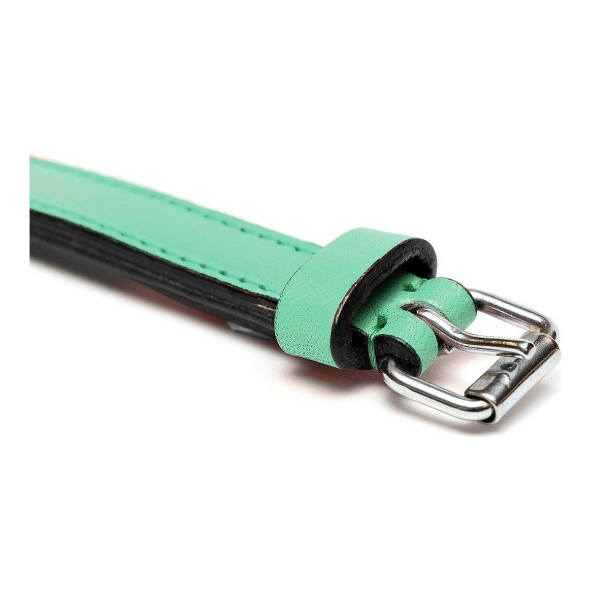 Hundehalsband Gloria Gepolstert Grün (55 x 2,5 cm)