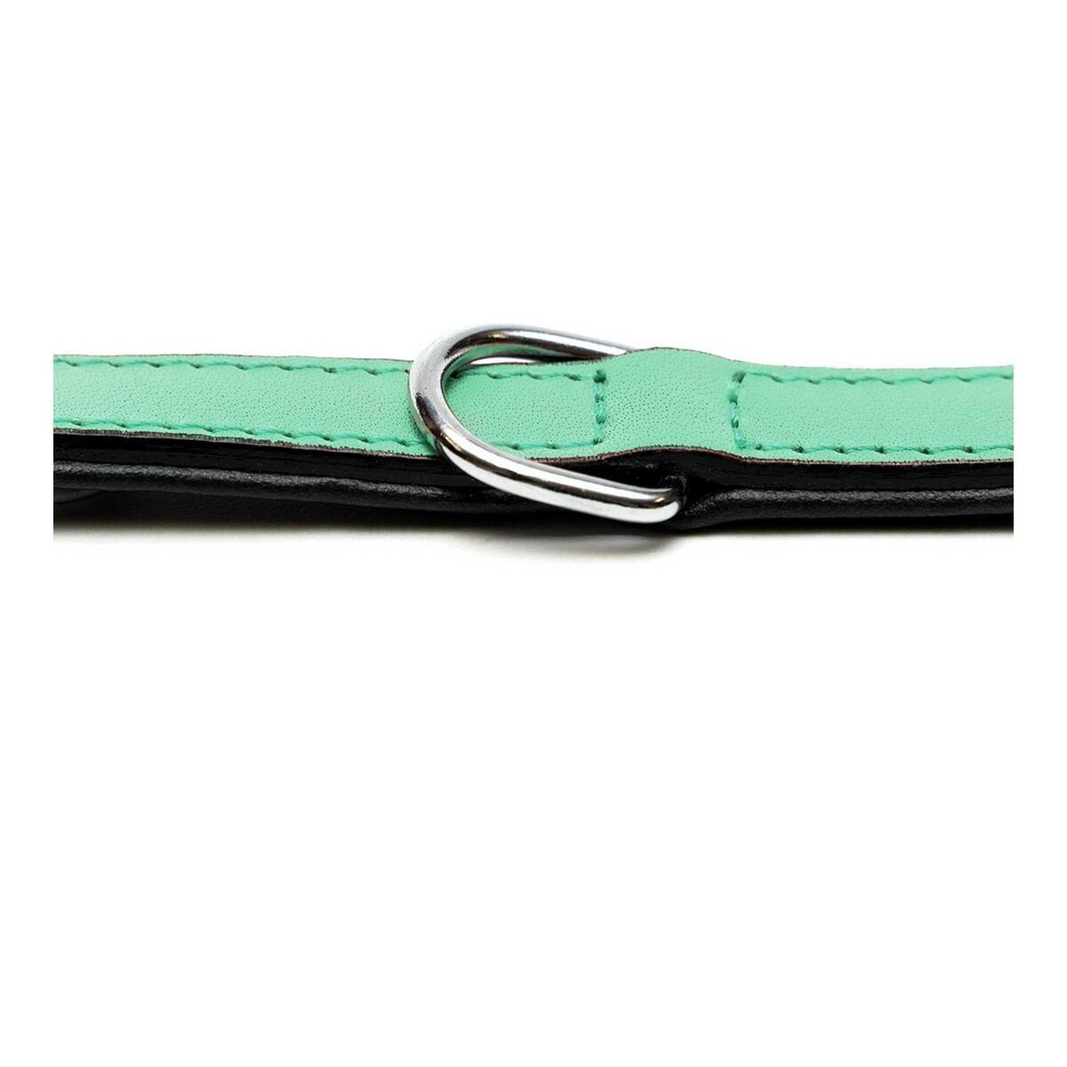 Hundehalsband Gloria Gepolstert Grün (55 x 2,5 cm)