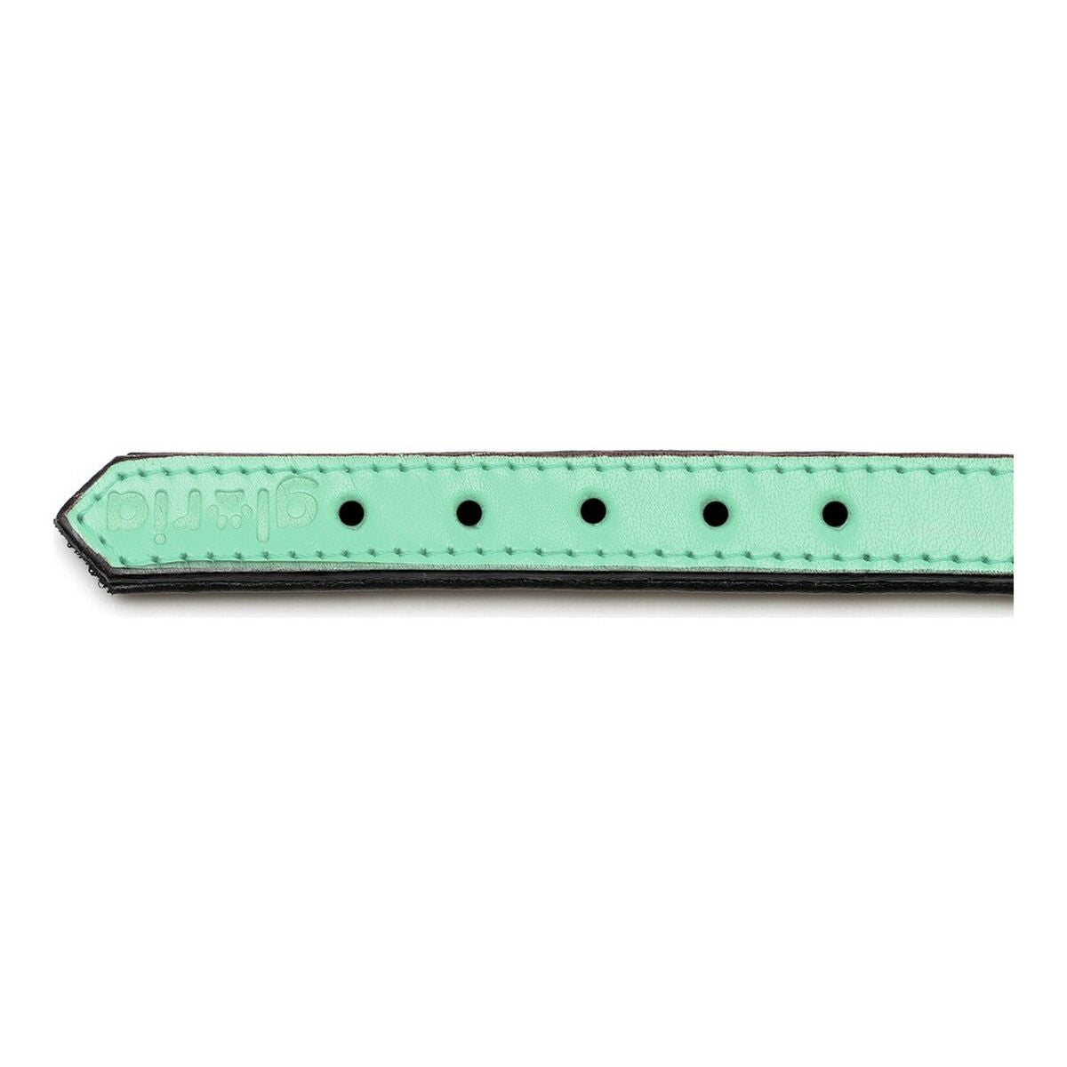 Hundehalsband Gloria Gepolstert Grün (55 x 2,5 cm)
