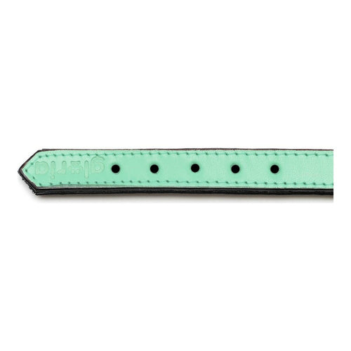 Hundehalsband Gloria Gepolstert Grün (55 x 2,5 cm)