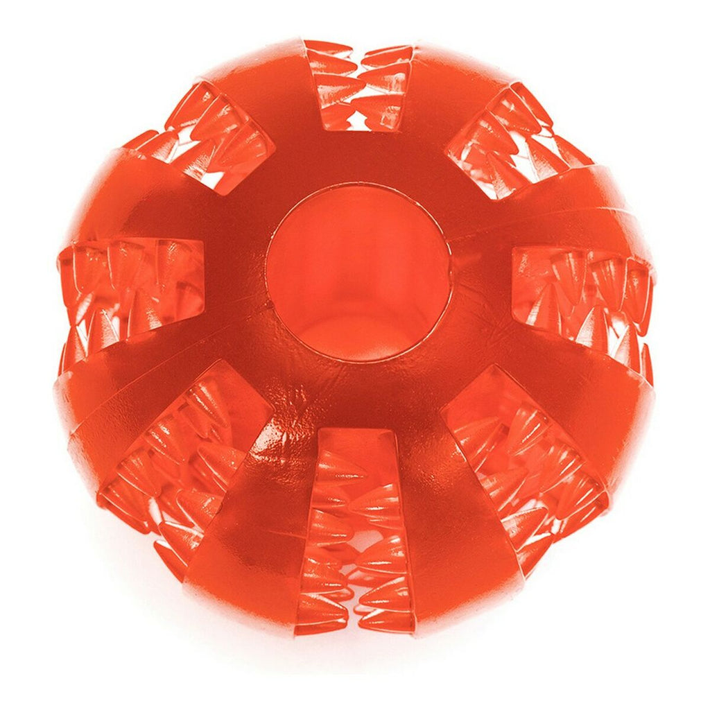 Hundespielzeug Gloria Zahnpflege TPR Sortierte Farben (6 cm)