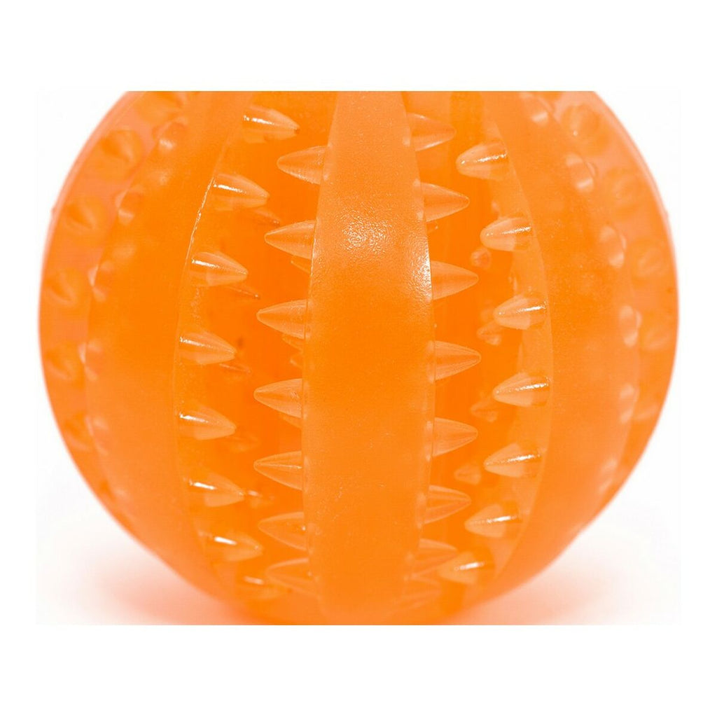Hundespielzeug Gloria Zahnpflege TPR Sortierte Farben (6 cm)