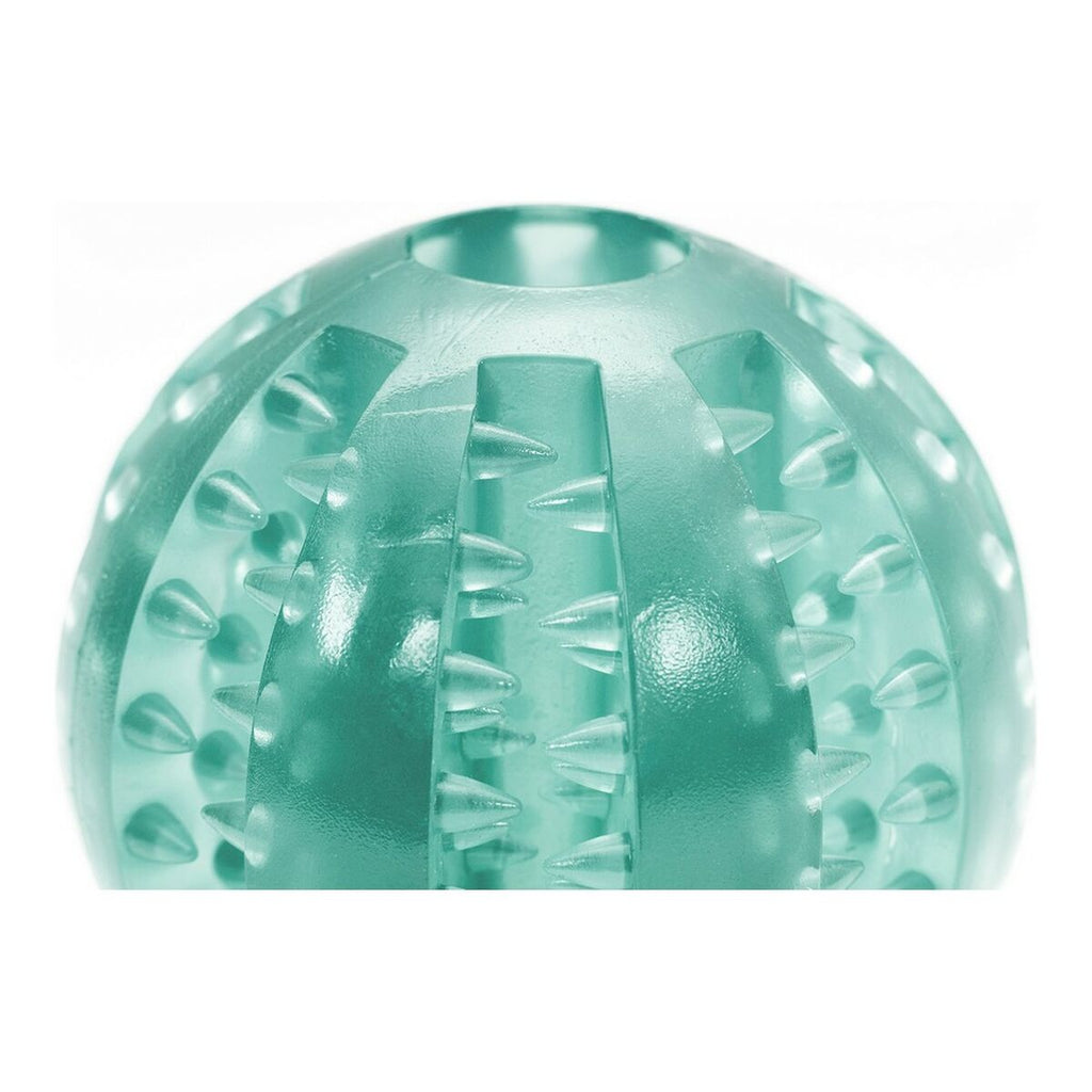 Hundespielzeug Gloria Zahnpflege TPR Sortierte Farben (6 cm)