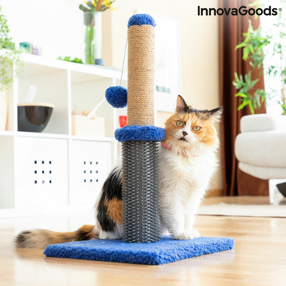 Katzen-Kratz- und Massagepost mit Ball Miausage InnovaGoods