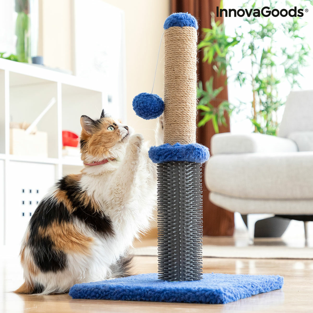 Katzen-Kratz- und Massagepost mit Ball Miausage InnovaGoods