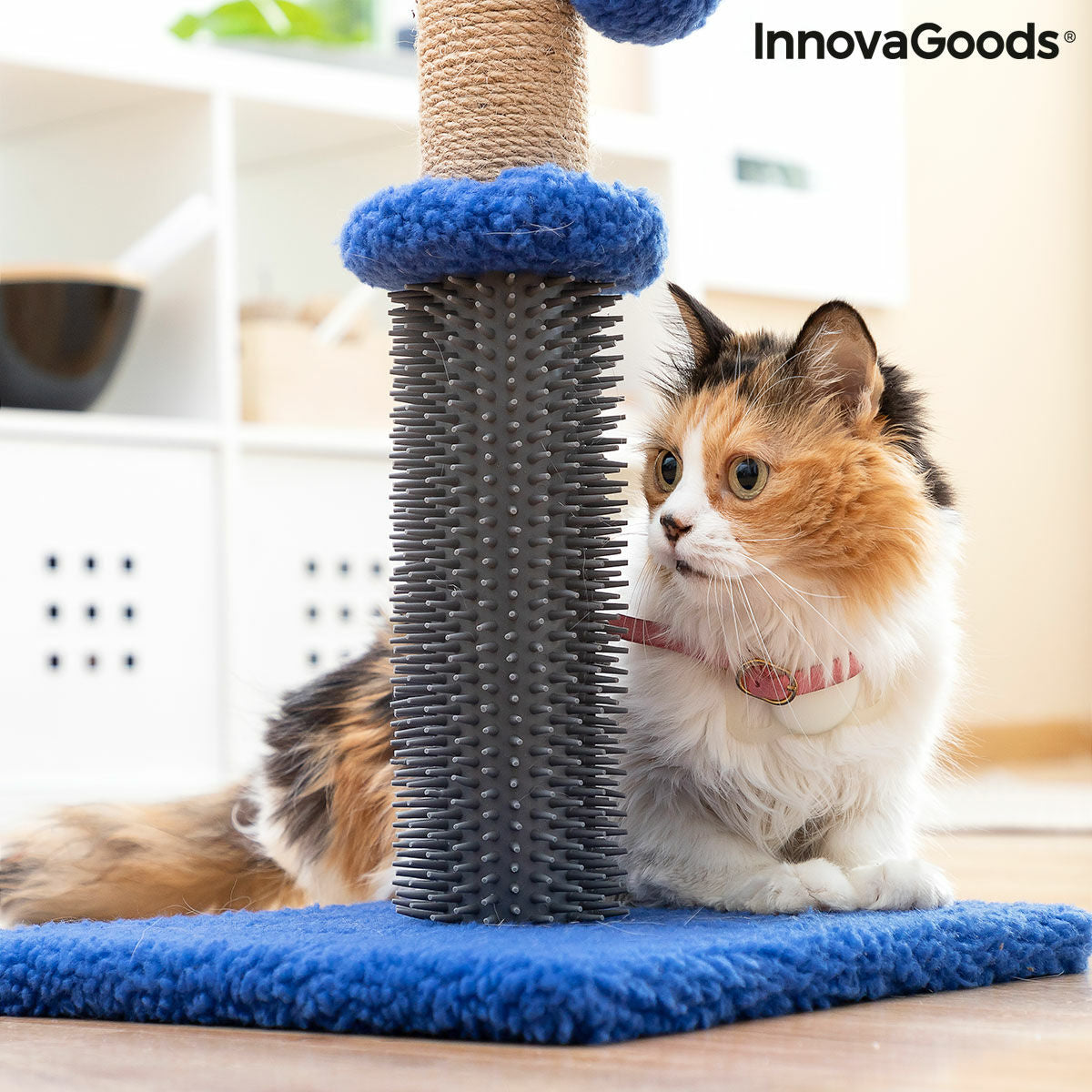 Katzen-Kratz- und Massagepost mit Ball Miausage InnovaGoods