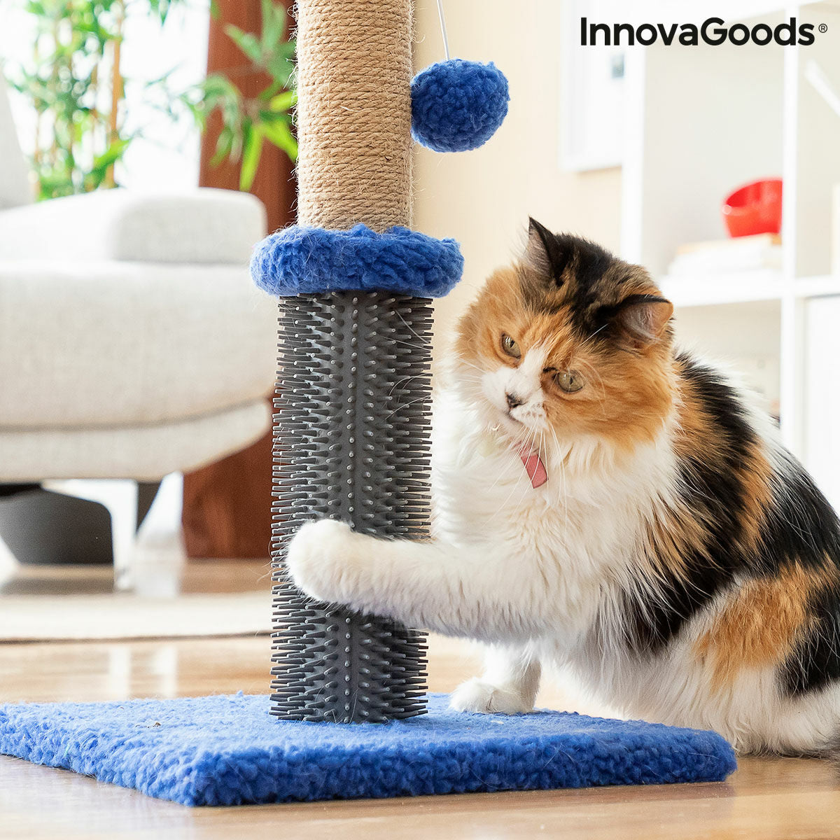 Katzen-Kratz- und Massagepost mit Ball Miausage InnovaGoods