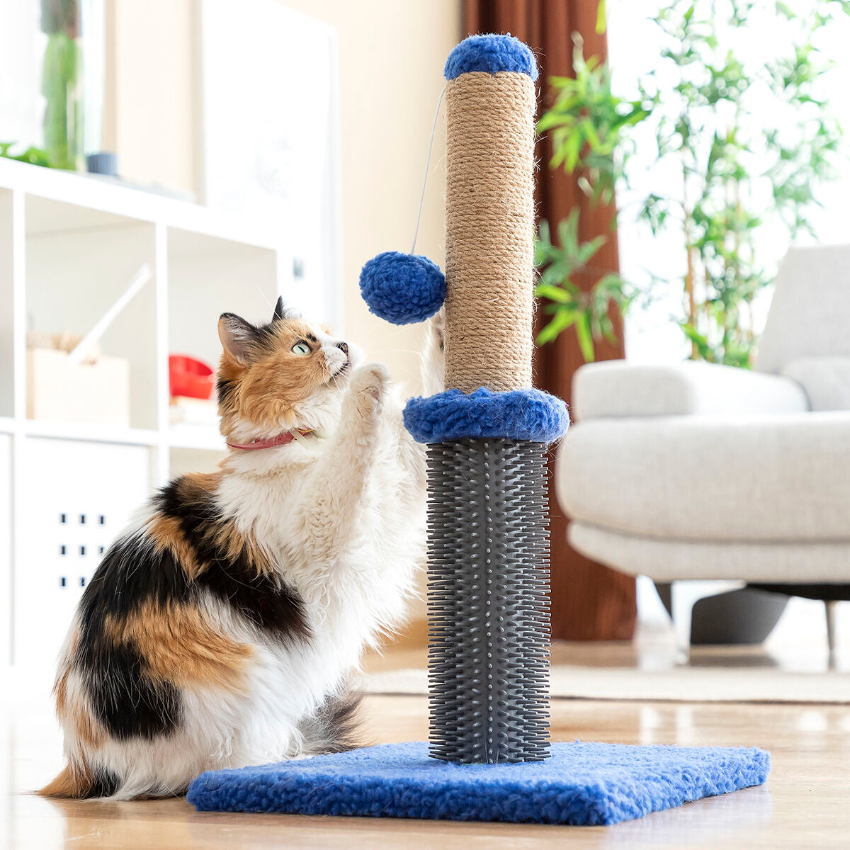 Katzen-Kratz- und Massagepost mit Ball Miausage InnovaGoods