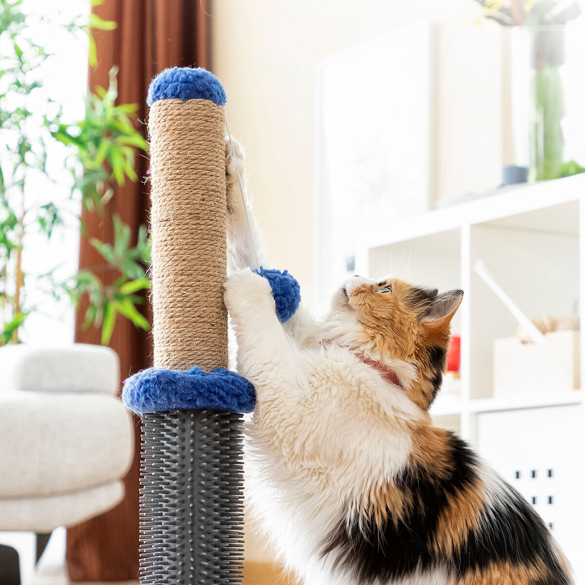 Katzen-Kratz- und Massagepost mit Ball Miausage InnovaGoods