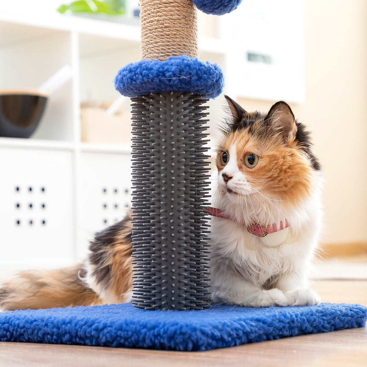 Katzen-Kratz- und Massagepost mit Ball Miausage InnovaGoods